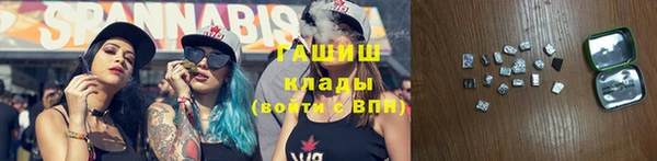 гидра Заводоуковск