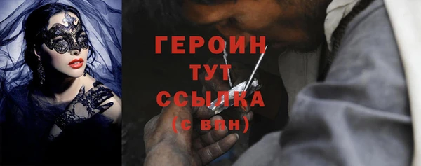 гидра Заводоуковск
