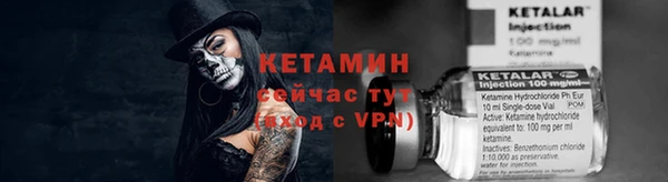 гидра Заводоуковск