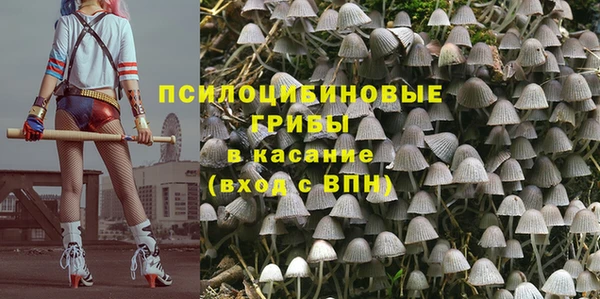 гидра Заводоуковск