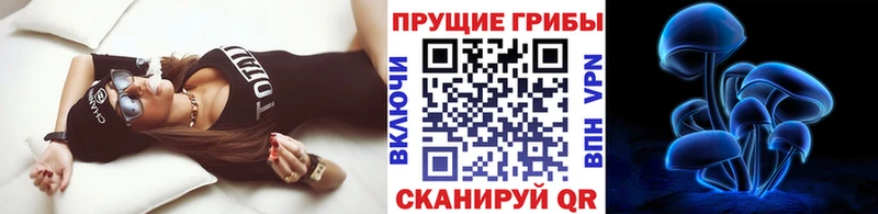 Купить закладки  Цивильск  Галлюциногенные грибы Cubensis 